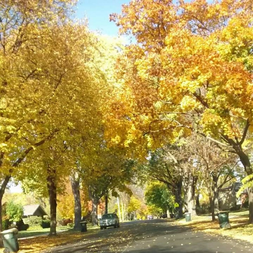 Meet your Posher, Giselle